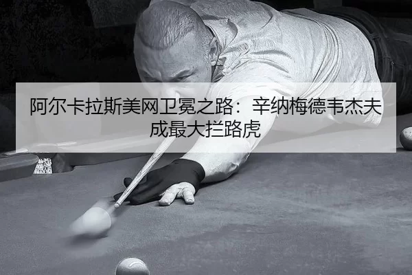 a-er-ka-la-si-mei-wang-wei-mian-zhi-lu-xin-na-mei-de-wei-jie-fu-cheng-zui-da-lan-lu-hu-2-491.jpg
