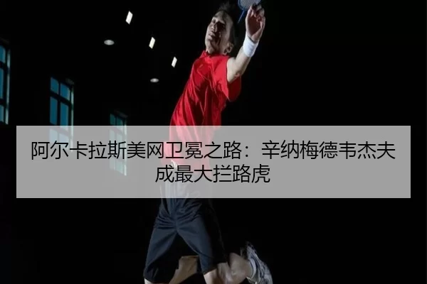 a-er-ka-la-si-mei-wang-wei-mian-zhi-lu-xin-na-mei-de-wei-jie-fu-cheng-zui-da-lan-lu-hu-3-732.jpg