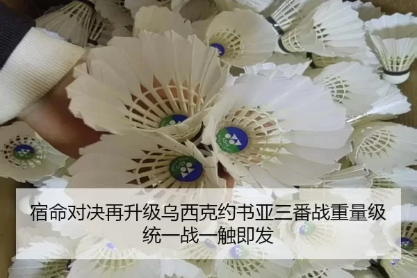 宿命对决再升级乌西克约书亚三番战重量级统一战一触即发